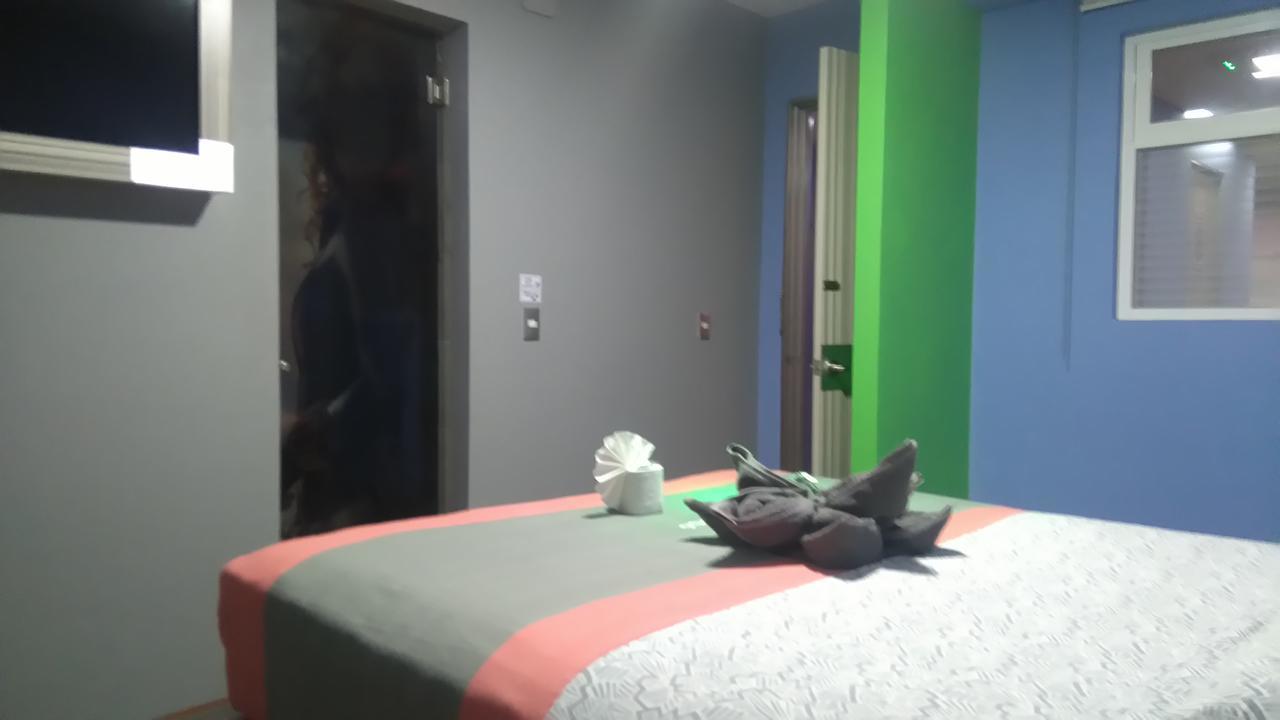 Hotel H - Eco Adults Only Mexico City Ngoại thất bức ảnh